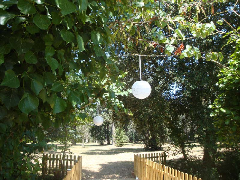 Domaine du Galant_31410 SAINT HILAIRE_23